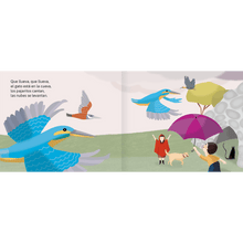 Load image into Gallery viewer, ¡Que llueva!