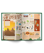 Load image into Gallery viewer, Argentina natural
