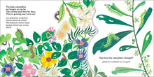 Load image into Gallery viewer, Bilingual Pop-Up Peekaboo! Butterfly - La mariposa
