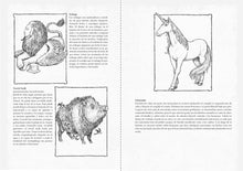 Load image into Gallery viewer, Criaturas imposibles
