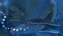 Load image into Gallery viewer, El canto de las ballenas
