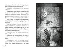 Load image into Gallery viewer, Graciela in the Abyss (Pasta Blanda / Paperback)
