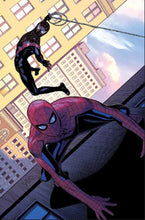 Load image into Gallery viewer, Marvel-Verse: Spider-Verse
