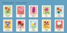 Load image into Gallery viewer, My First 100 Plantitas &amp; Florecitas Words in English &amp; Spanish
