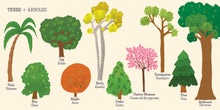 Load image into Gallery viewer, My First 100 Plantitas &amp; Florecitas Words in English &amp; Spanish

