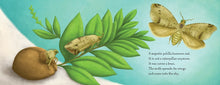 Load image into Gallery viewer, Not a Bean (Pasta Blanda / Paperback)
