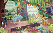 Load image into Gallery viewer, Plantas que hablan, animales que cantan
