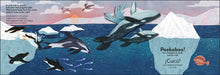 Load image into Gallery viewer, Bilingual Pop-Up Peekaboo! Ocean - El océano
