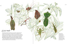 Load image into Gallery viewer, Vida y costumbres de los animales de la Amazonía
