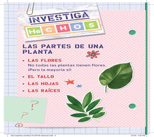 Load image into Gallery viewer, Ada Magnífica, científica investiga: ¡Todo sobre las plantas!  / The Why Flies: Plants (Spanish Edition)
