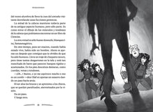 Load image into Gallery viewer, El espejo escondido
